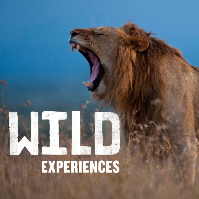 Conservation Experiences