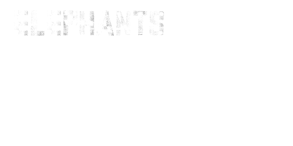 Elephants