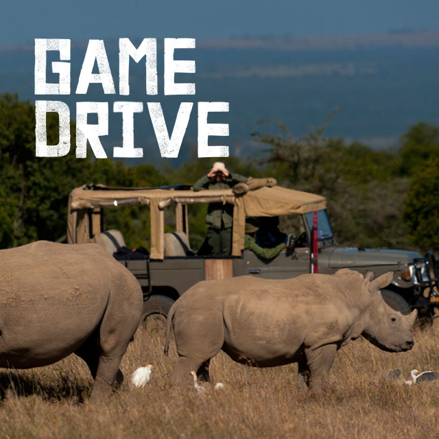Ol Pejeta Game Drive