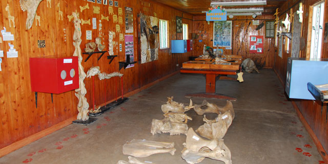 morani-information-center