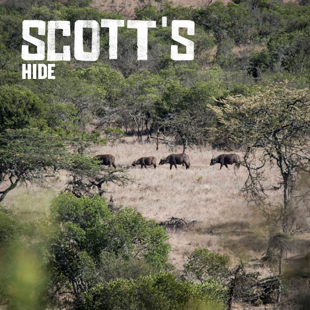Scott’s Hide