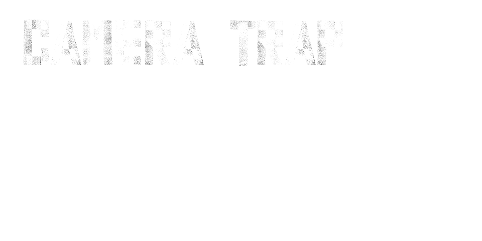 Camera trap