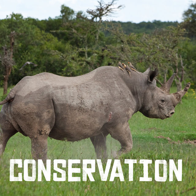 Conservation