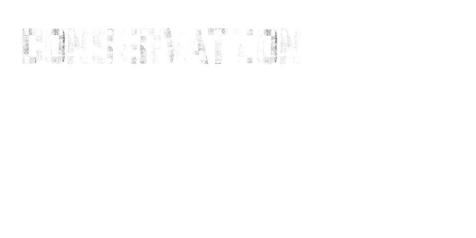 Conservation