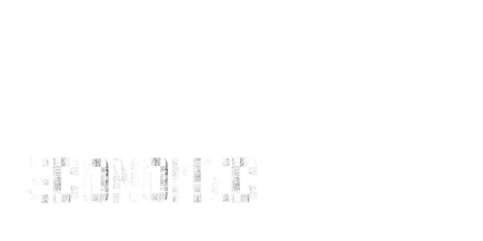 Economic projects