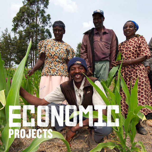 Economic projects