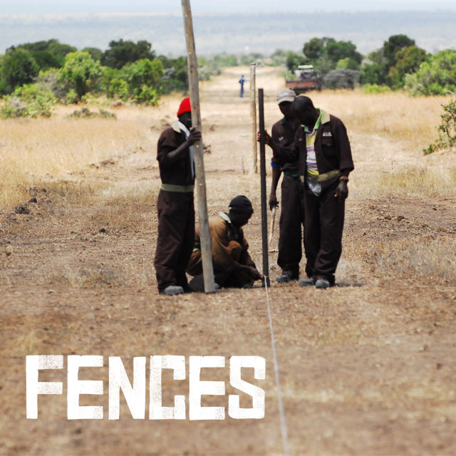 Fences