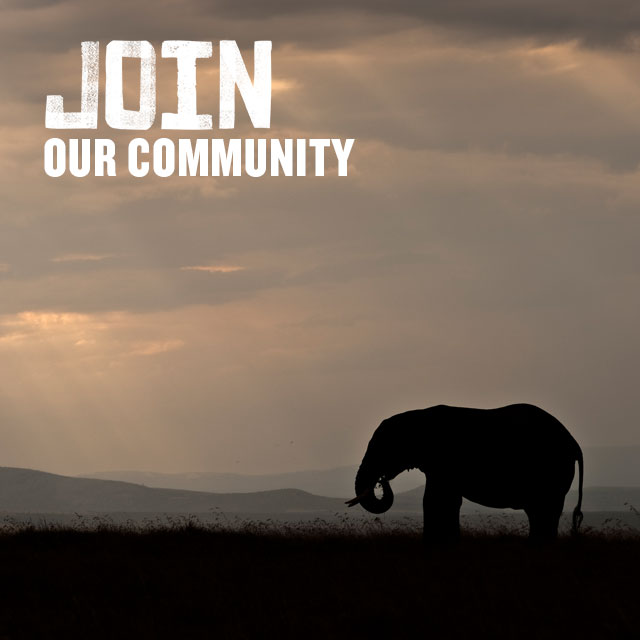 Join our community