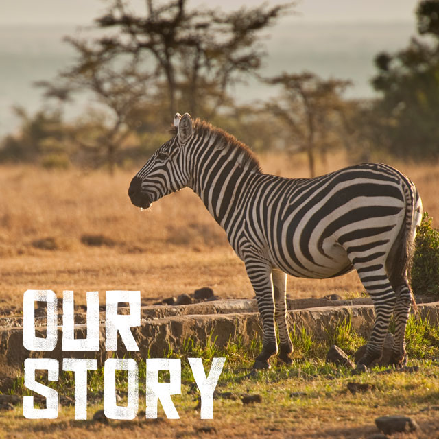 Our Story