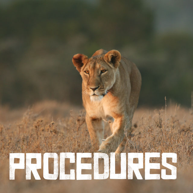 Procedures