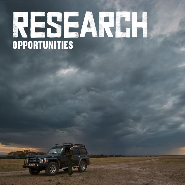 Research opportunities