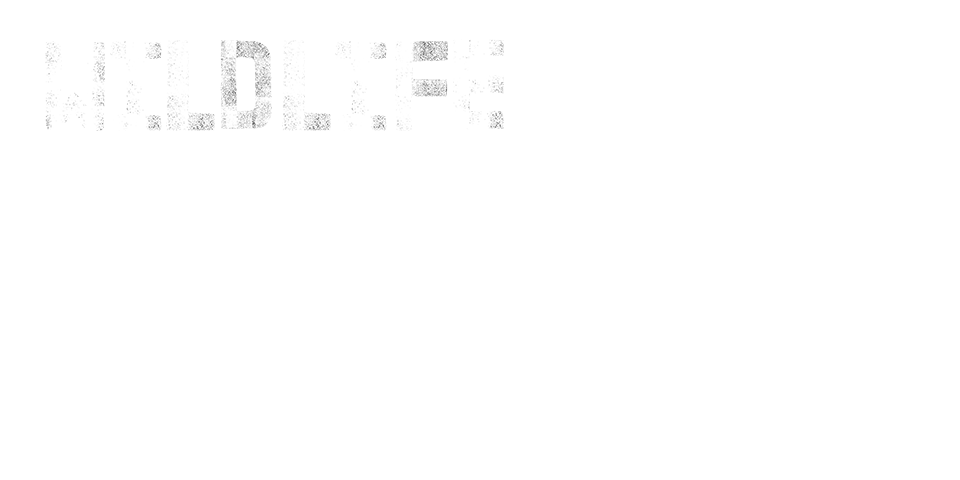 Wildlife protection