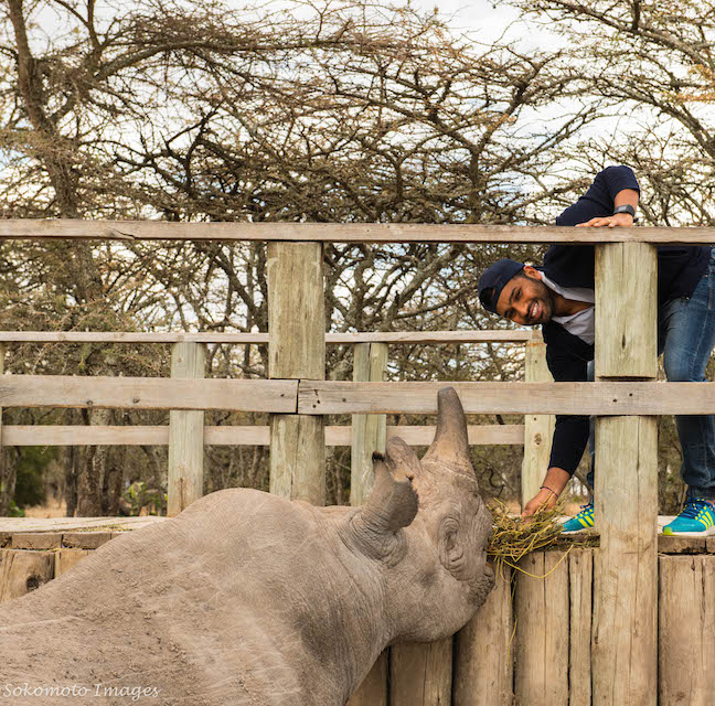 Cricket Champion Bats for #lastmalestanding