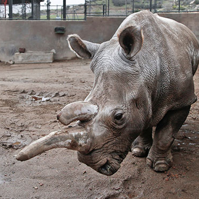 And then there were three...