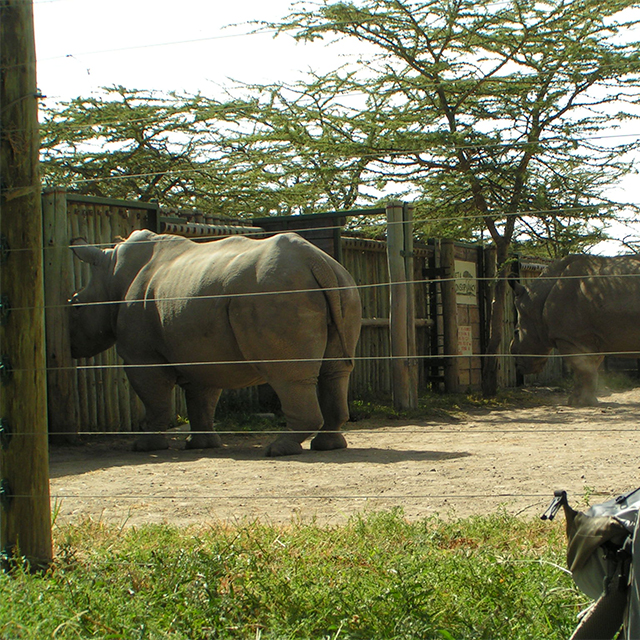 Enhanced Fencing for the Endangered Species Enclosure