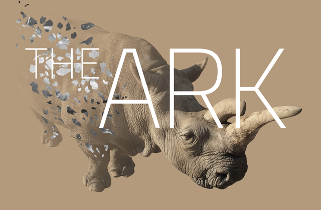 Saving the northern white rhino in virtual reality