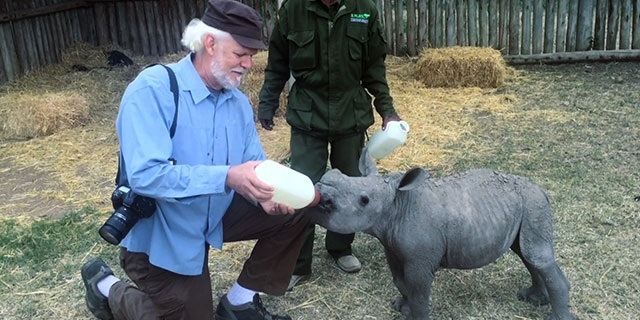 TurkFeedingBabyRingo
