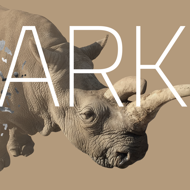 Saving the northern white rhino in virtual reality