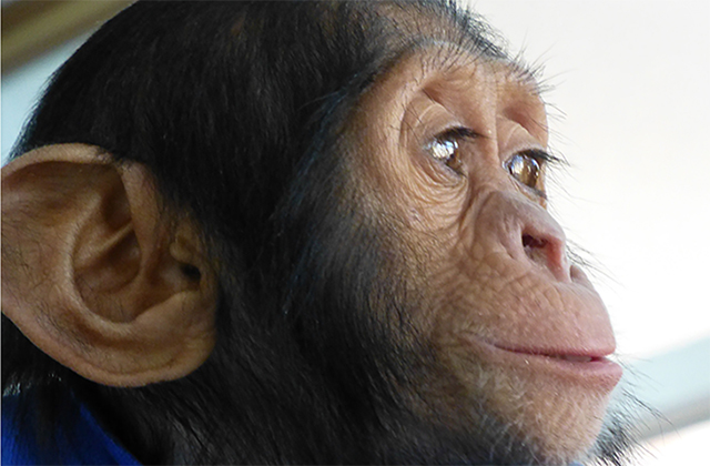 PRESS RELEASE: FREEDOM FOR MANNO