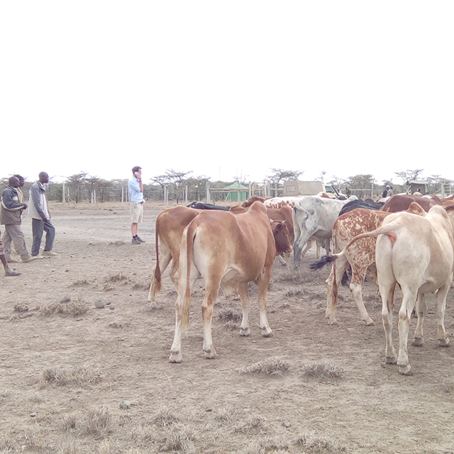 PRESS RELEASE: OL PEJETA STEPS UP IN TIME OF DROUGHT