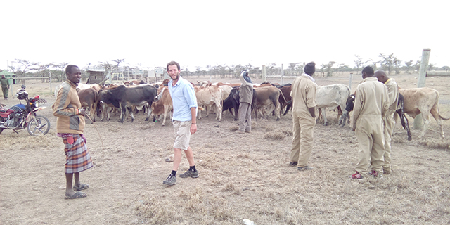 livestock-inpost