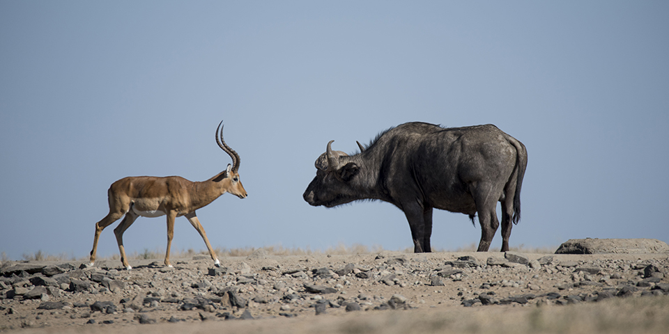 Latest Updates on The situation in Laikipia