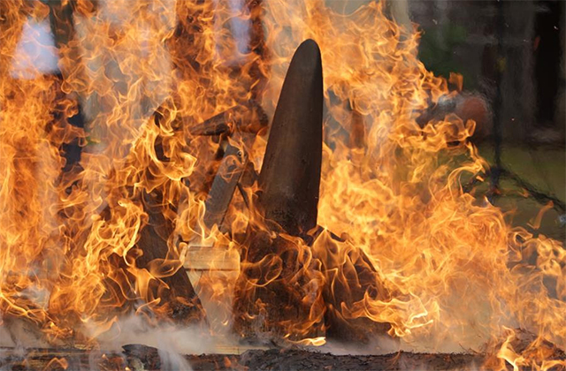 Stockpile of rhino horn burned in the Dvůr Králové Zoo in the Czech Republic