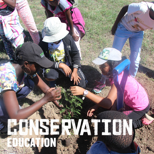 Conservation Education
