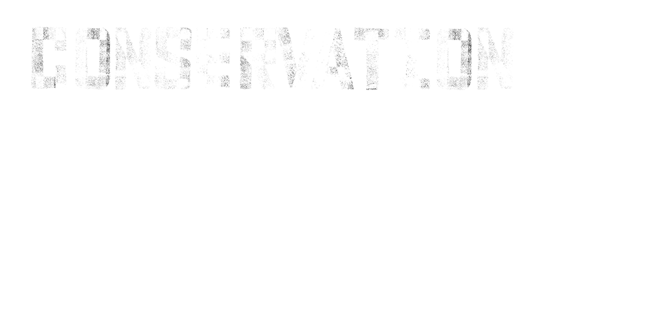 Conservation Education