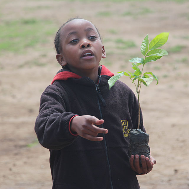 Working with School Children for a Greener Tomorrow