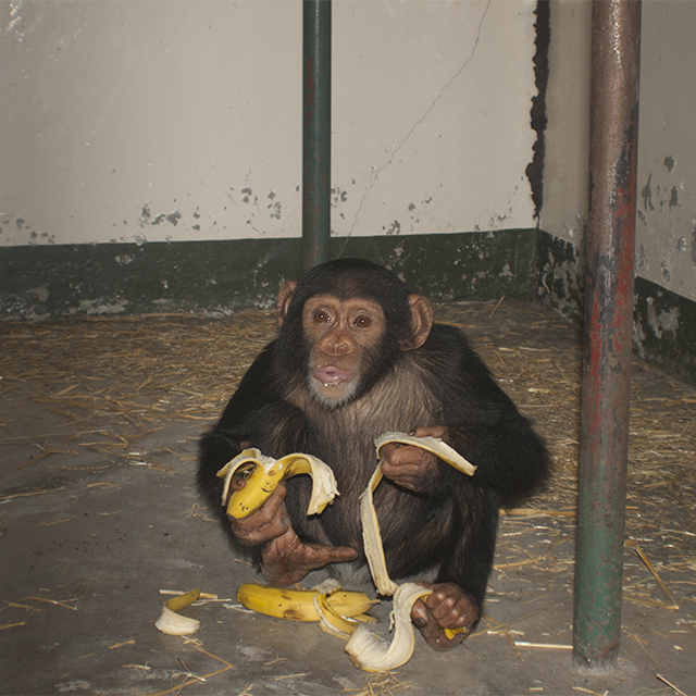 The Sweetwaters Family Gets Bigger – Bo and Bella Finally Arrive!