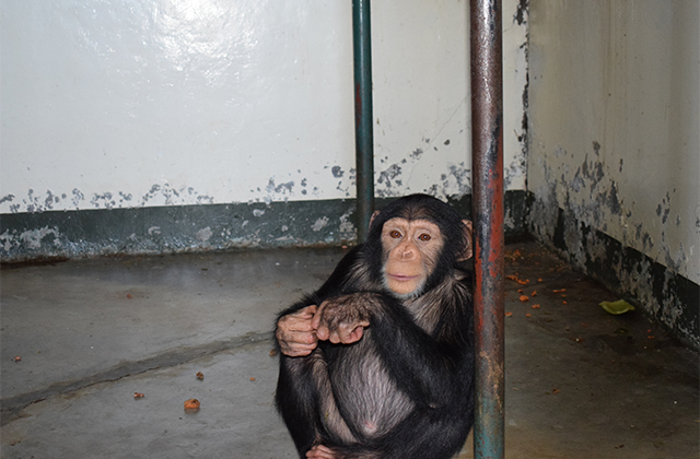 Bo and Bella - Finally Together!