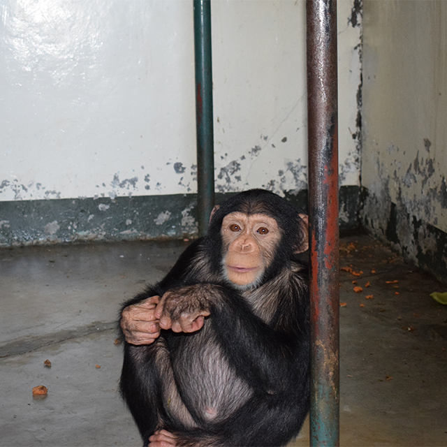 Bo and Bella - Finally Together!