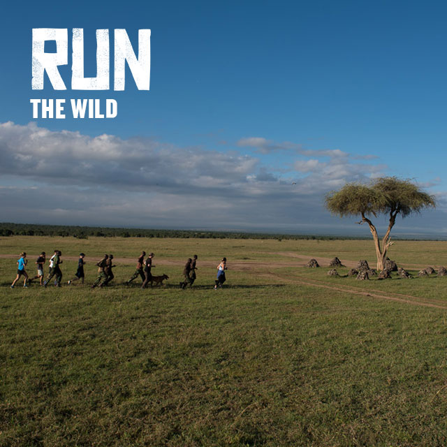 Run the Wild