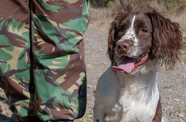 Drum roll for our latest rhino hero