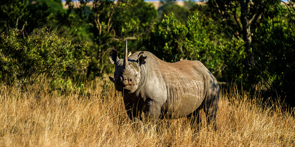 Updated Bookings, Payment and Cancellation Policy