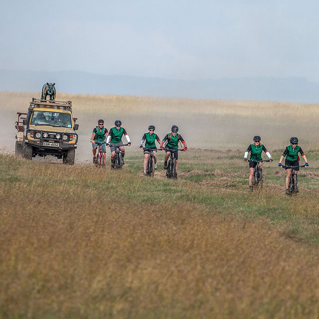 Adventure For Rhinos