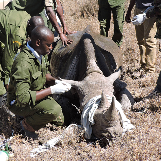 A day in the life of Dr. Stephen Ngulu