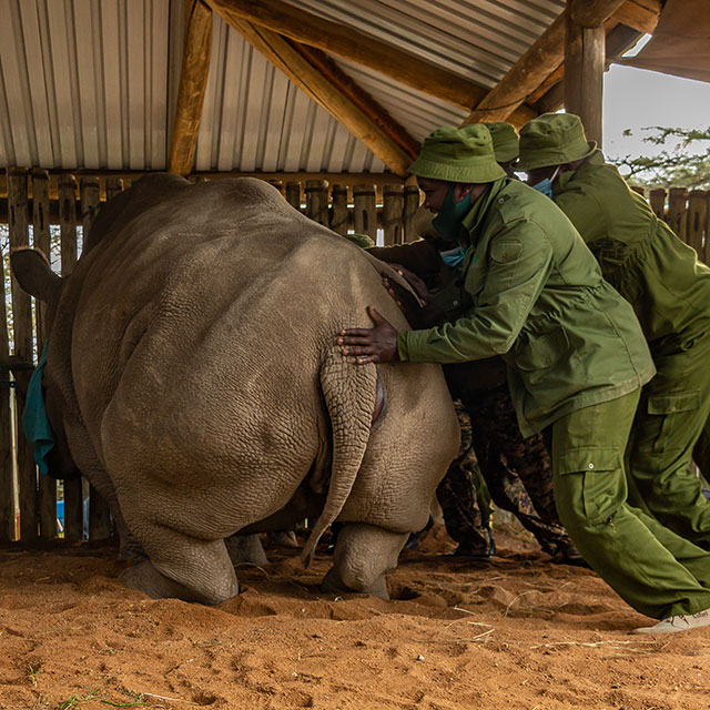 NEWS RELEASE | Another lap won in the race against time and in time of COVID