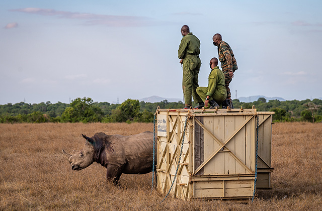 Bubbles and Barry Move Home