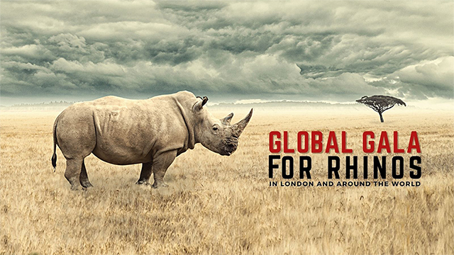 Global Gala for Rhinos