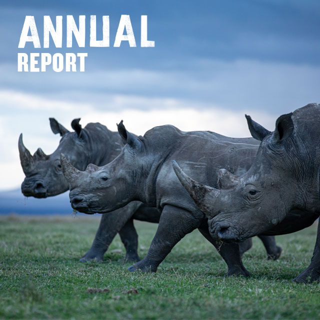 Annual Report