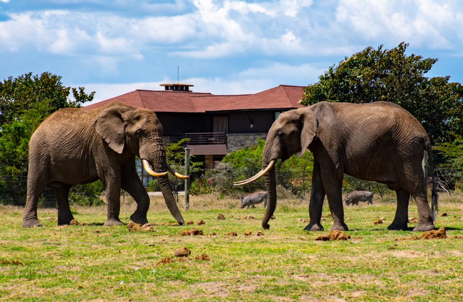 Nearby Accommodation