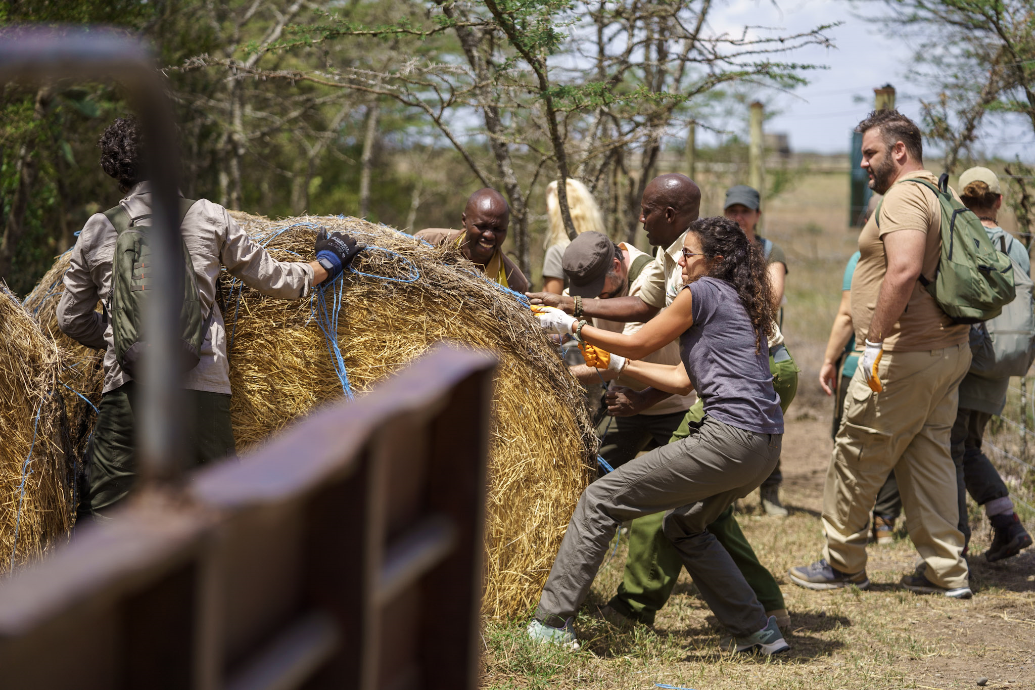 Immersive Conservation Experience